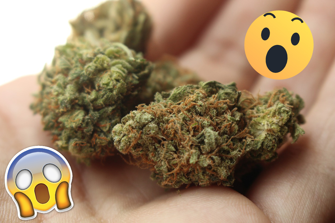 7 shocking facts about weed